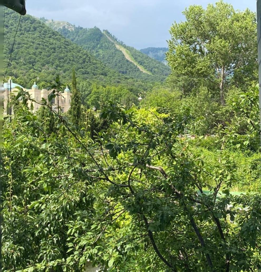 Panoramic Tufandag Family Apartment Gabala Exterior foto